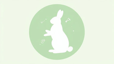 Your Guide to Cruelty Free Makeup Brands